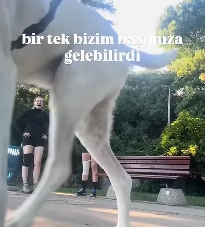 Ağacın Dibine Bıraktıkları Telefona Poz Veren İki Arkadaşın Fotoğrafına Bir Köpek Damgasını Vurdu